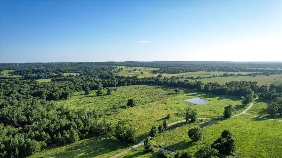 3188 S State Highway 75, Buffalo, TX 75831 - #2