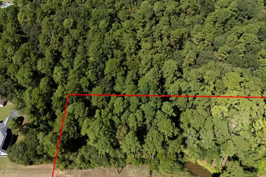 1135 Magnolia Point Drive, Huffman, TX 77336 - Image #3