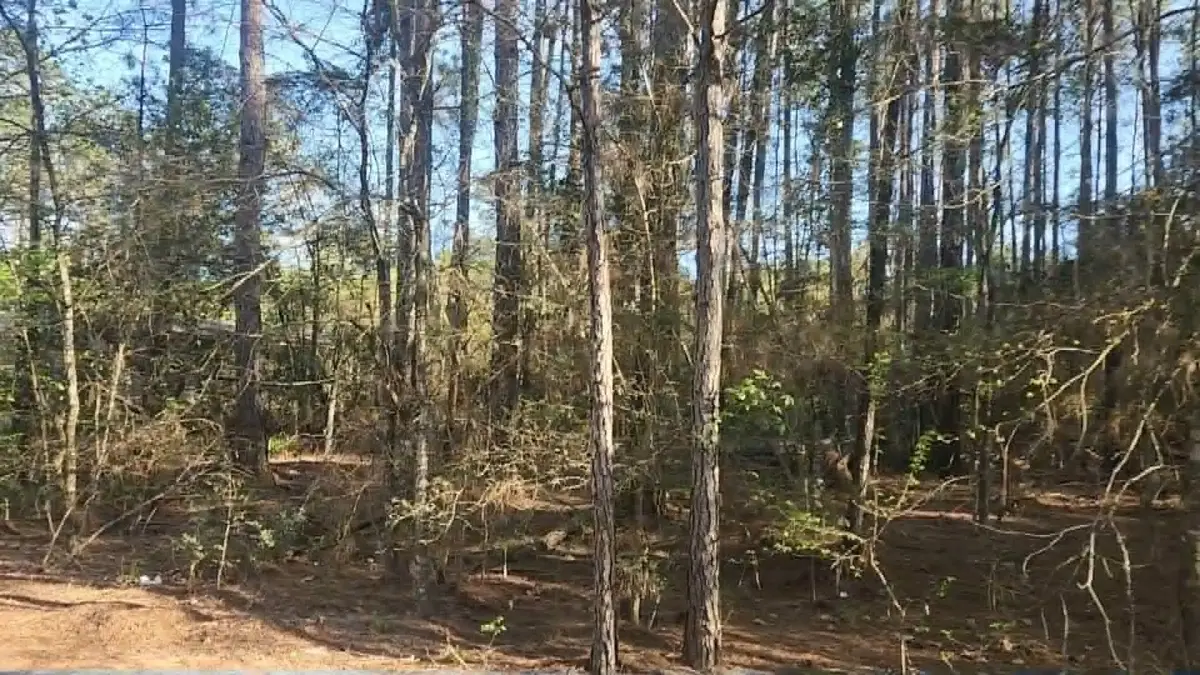 Lot 5 Walnut Tree Lane, Plantersville, TX 77363 - #1