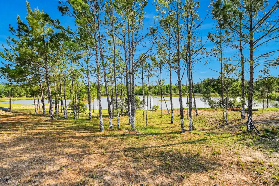 20065 Spring Hill Lane, Porter, TX 77365 - #2