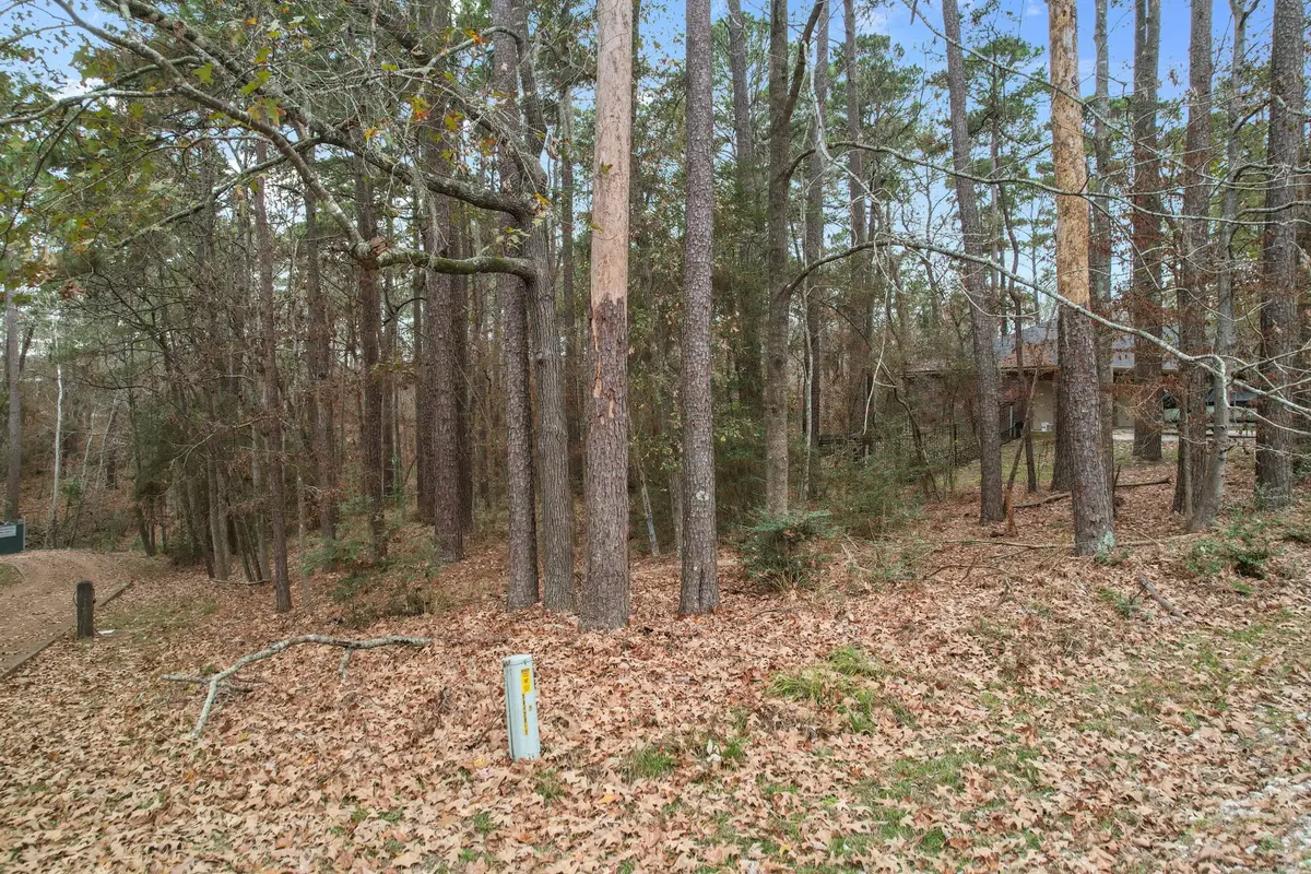 219 Kings Way, Coldspring, TX 77331 - Image #1