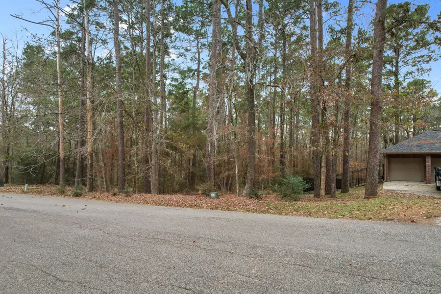 219 Kings Way, Coldspring, TX 77331 - Image #3