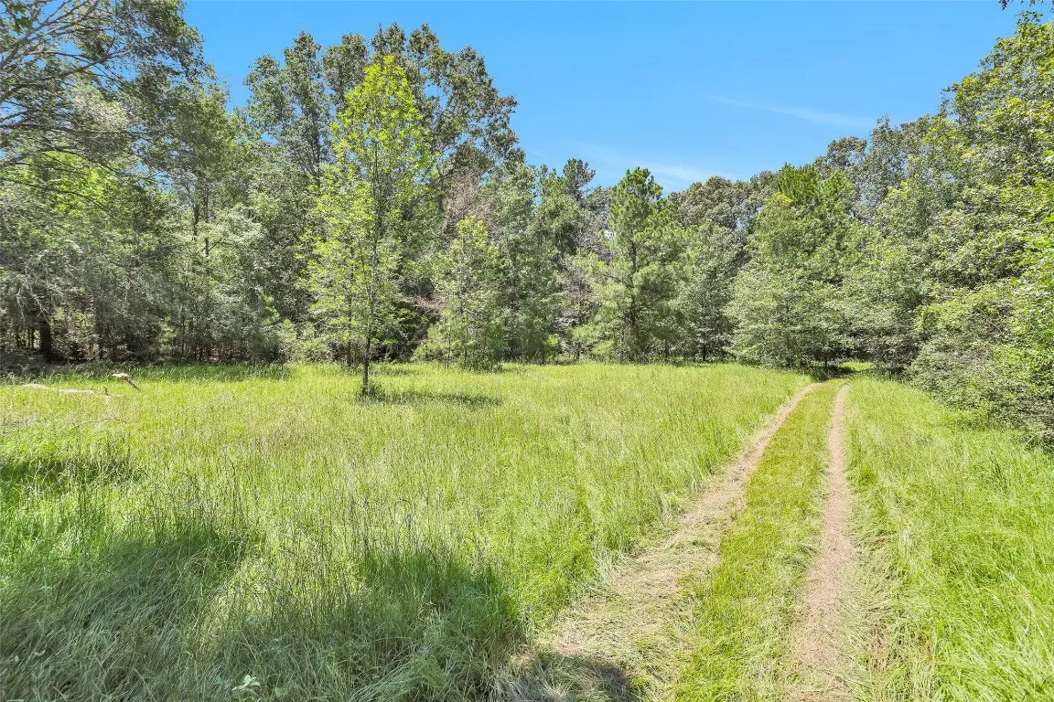 TBD Bill Adams Road, Kennard, TX 75847 - #1