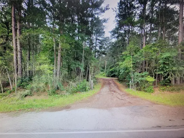 TBD East Kiowa Drive, Hempstead, TX 77445