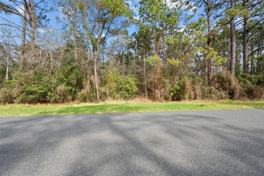 0 Lake Charlotte Road, Wallisville, TX 77597 - Image #3