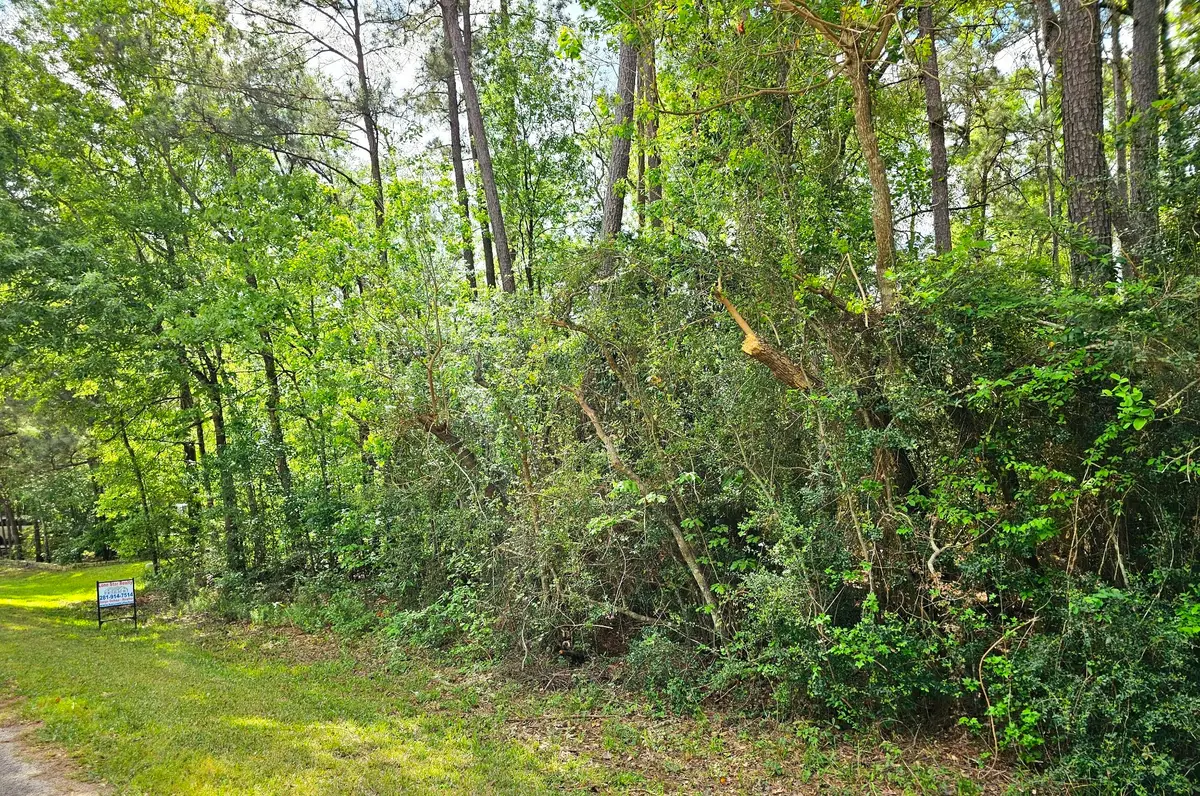 TBD Bernard Court, Porter, TX 77365 - #1