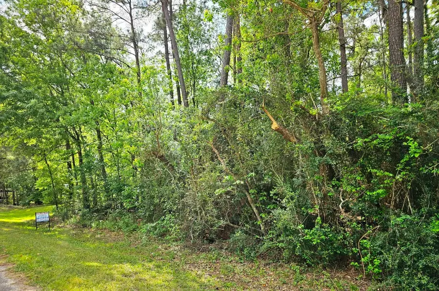 TBD Bernard Court, Porter, TX 77365 - #3