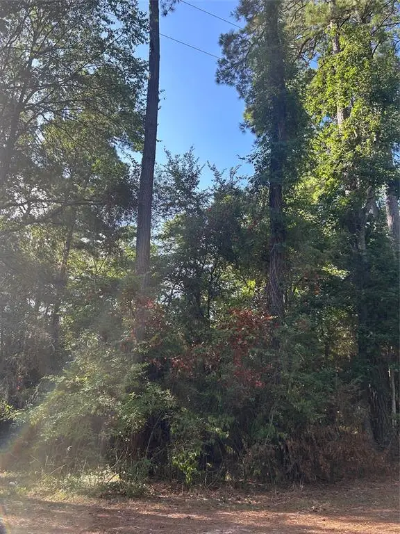 303132 Oak Pine Drive, Livingston, TX 77351 - #3