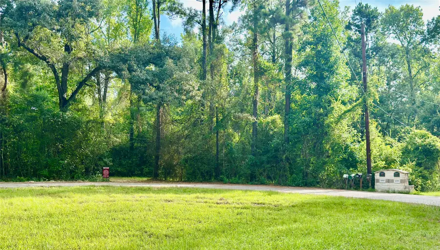 40718 Friartuck Drive, Montgomery, TX 77316 - #2