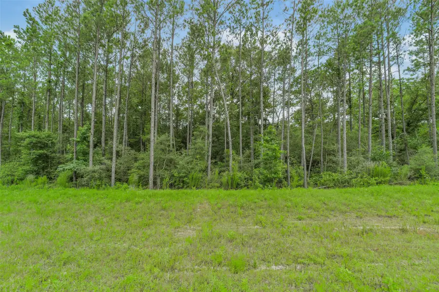 15832 Ridge Oak Road, Willis, TX 77378 - #3