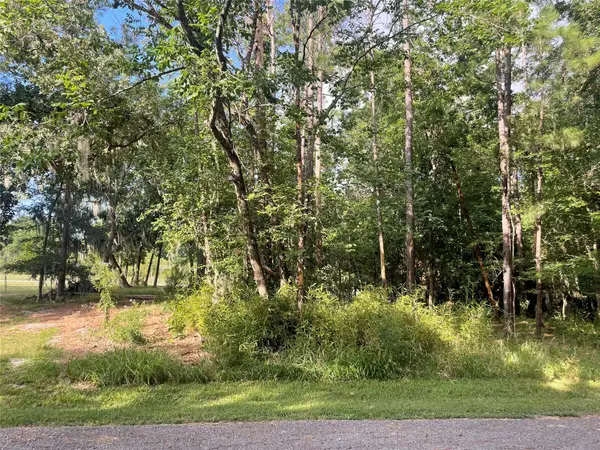 11 Crown Drive, Coldspring, TX 77331