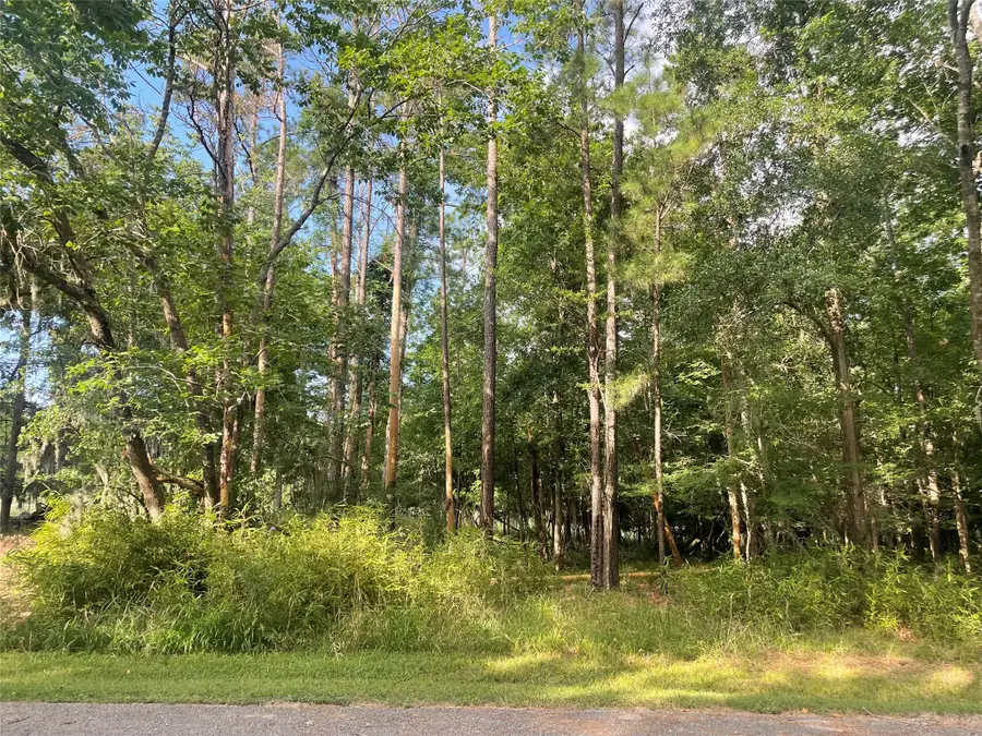 11 Crown Drive, Coldspring, TX 77331 - #2