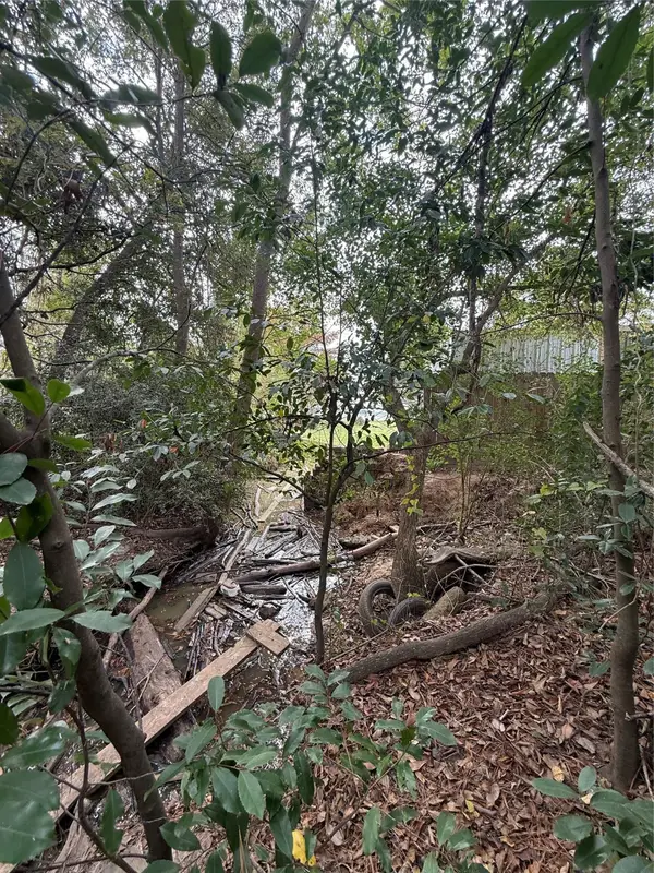 0 Sequoia Drive, Livingston, TX 77351