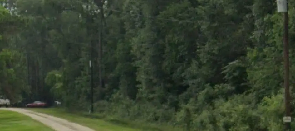 00 County Road 401, Dayton, TX 77535 - Image #1