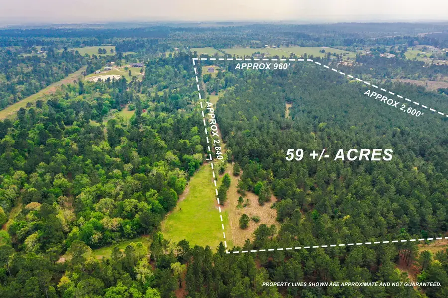 972 Fm 1696 Road W, Huntsville, TX 77320 - #2