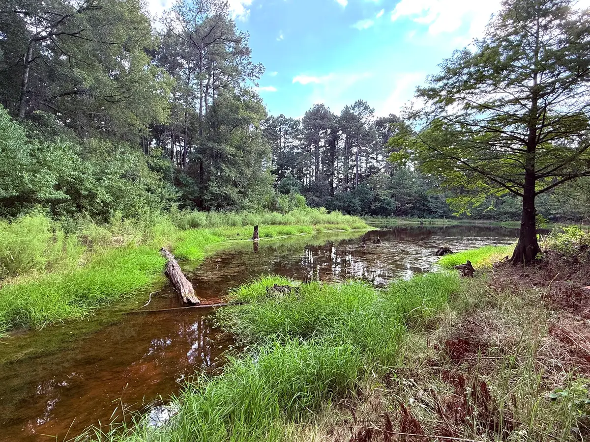 TBD Cr 3790, Joaquin, TX 75954 - Image #1