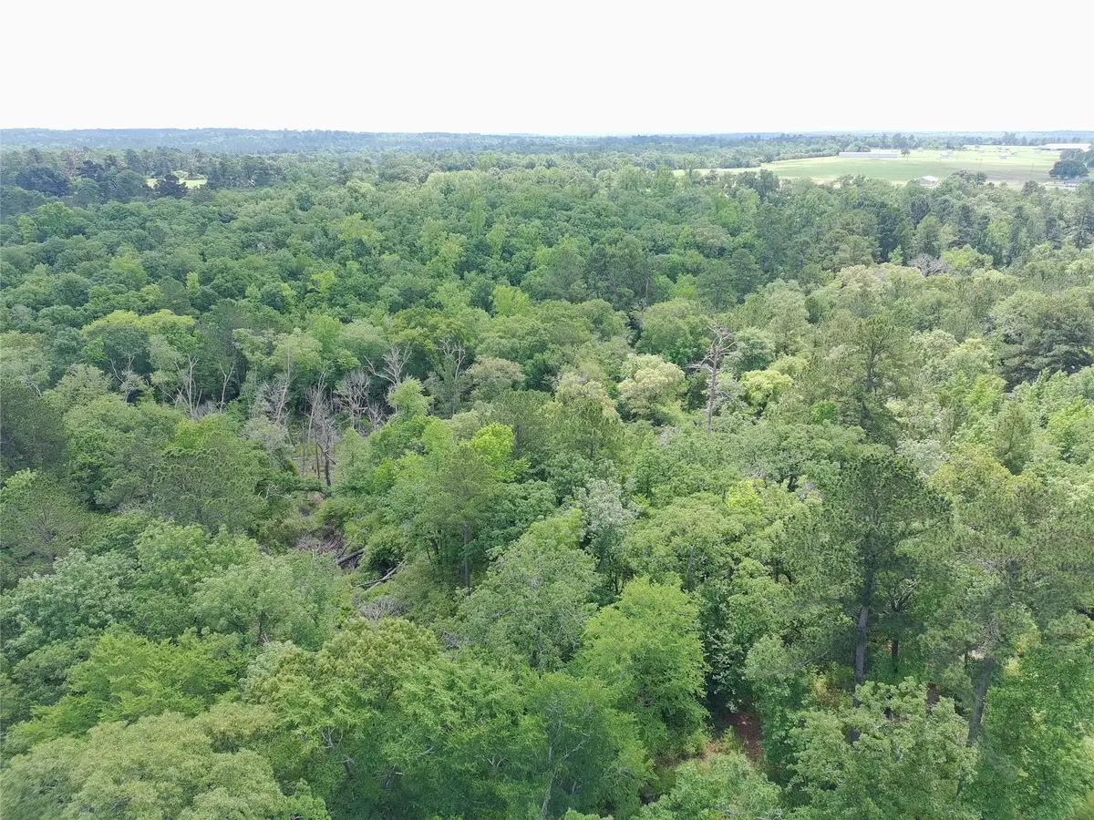 Tract 133 Pr 1313, Centerville, TX 75833 - #1