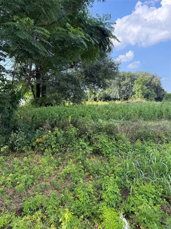 lot 7 Bell Street, Prairie View, TX 77445