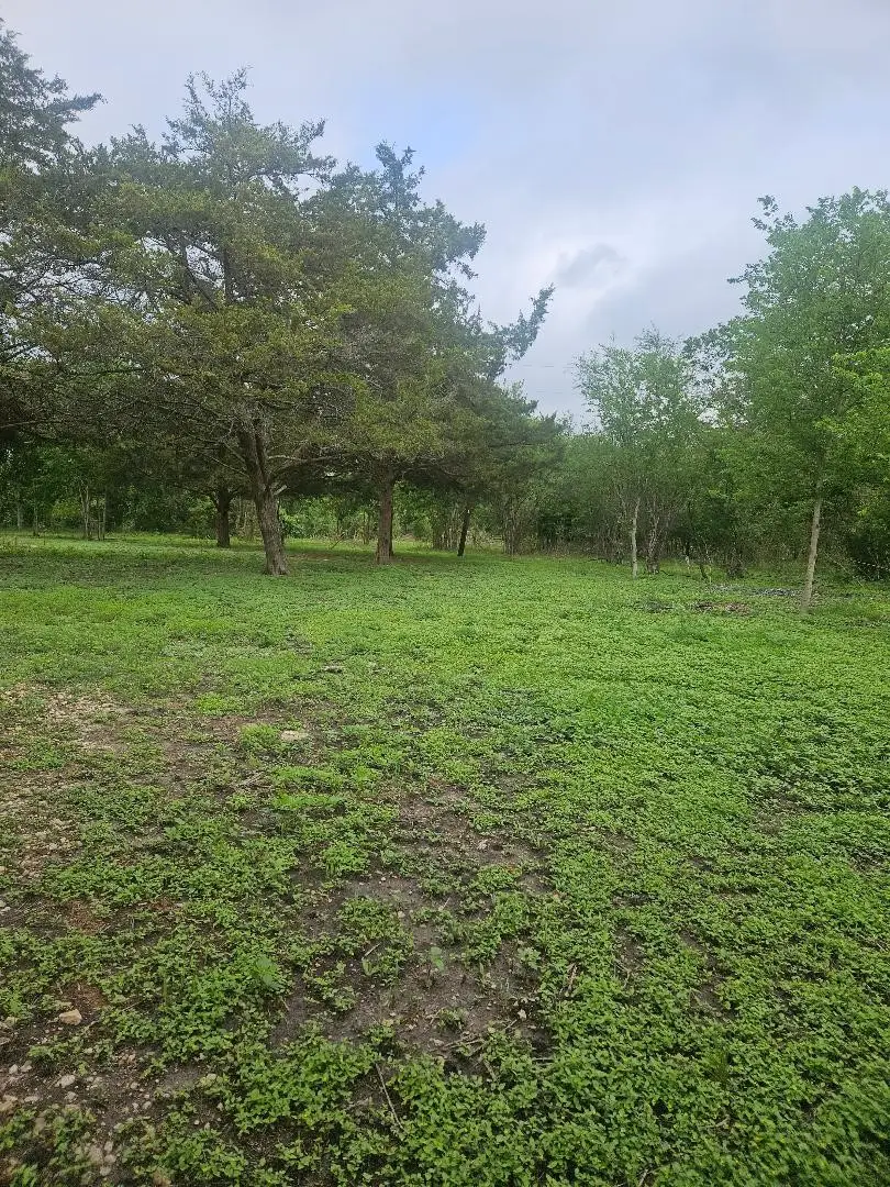 7055 Chadwick Hogan, Chappell Hill, TX 77426 - #3