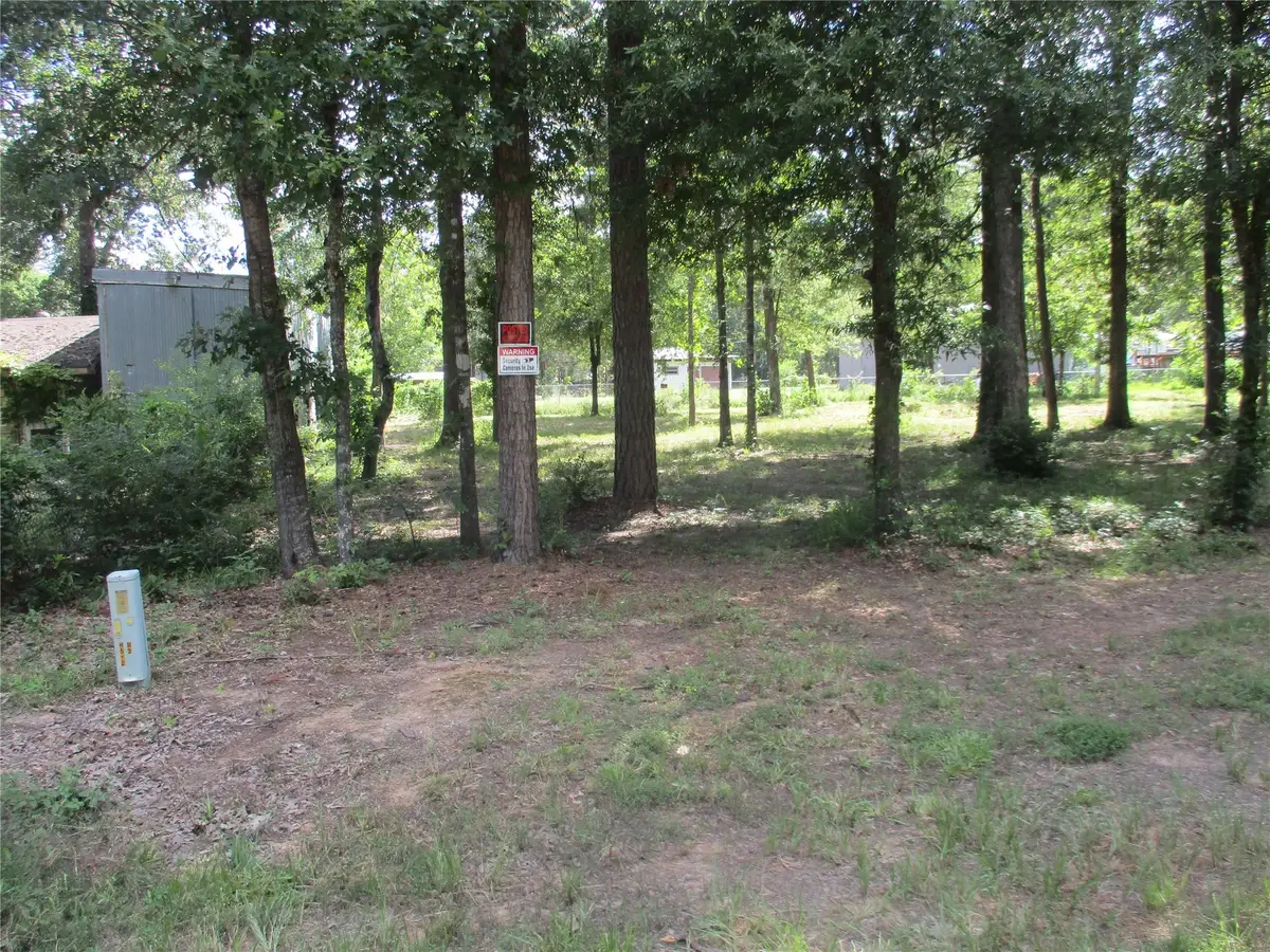 TBD Chatham Trail, Livingston, TX 77351 - Image #1
