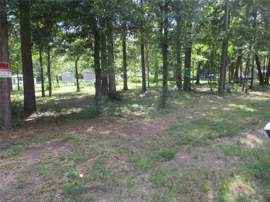 TBD Chatham Trail, Livingston, TX 77351 - Image #2