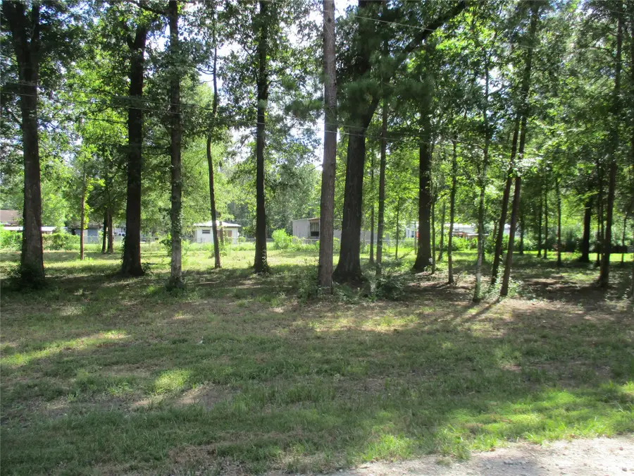 TBD Chatham Trail, Livingston, TX 77351 - Image #3