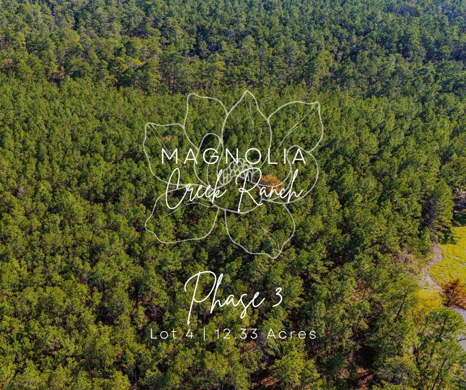 034 Magnolia Ranch Road, Onalaska, TX 77360 - Image #1