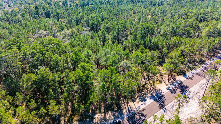 034 Magnolia Ranch Road, Onalaska, TX 77360 - Image #2