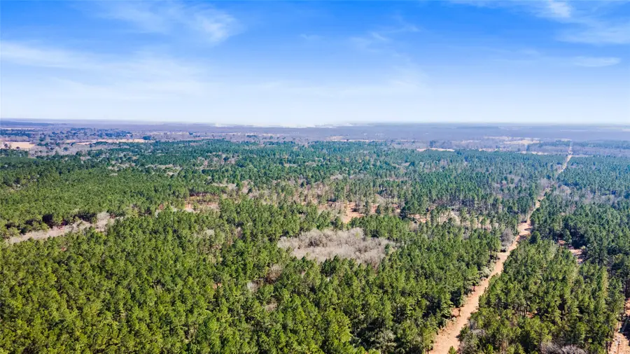 0 Bo Brown, Trinity, TX 75862 - #2