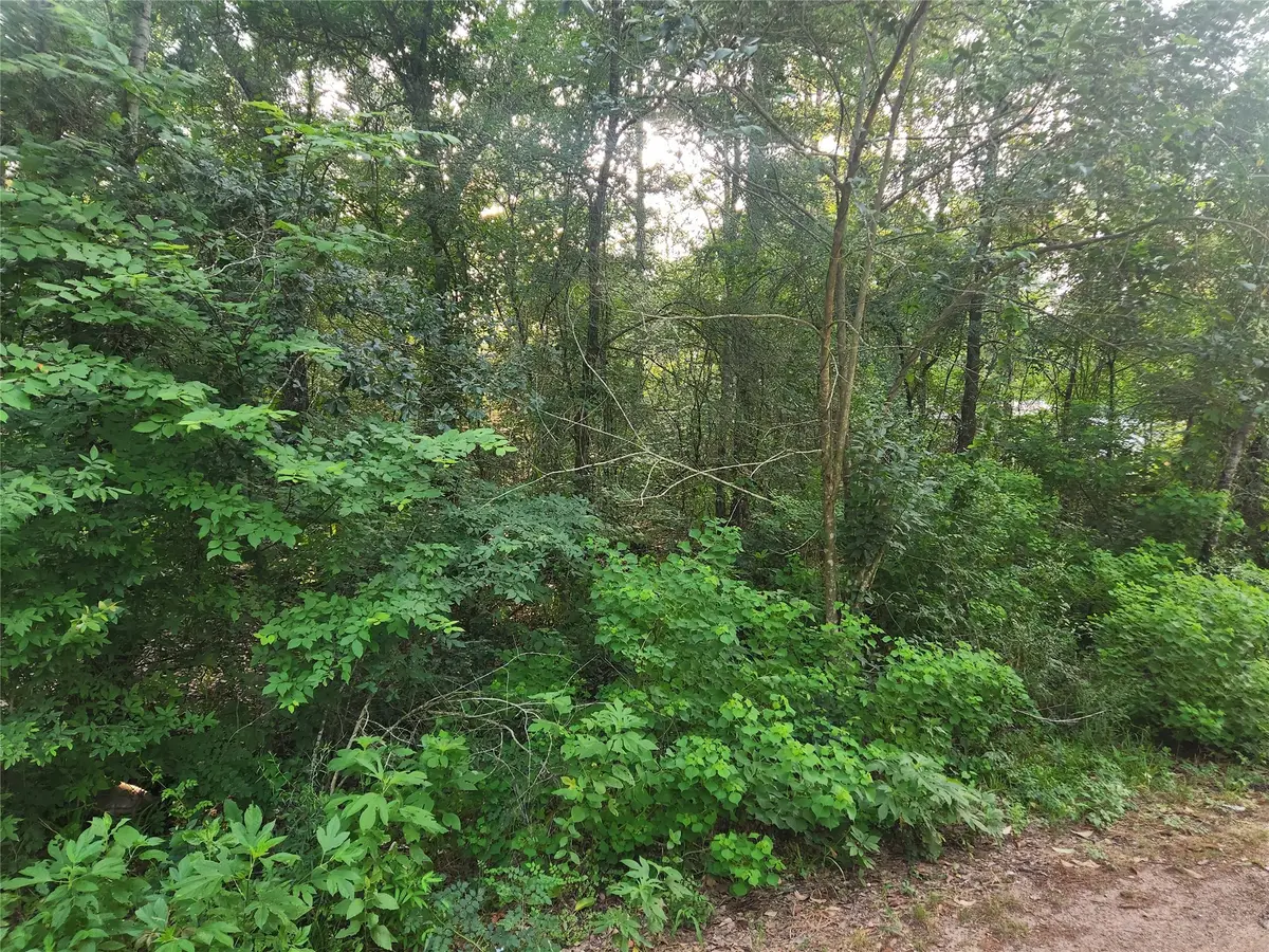 Lot 20 Mossyknoll Drive, Plantersville, TX 77363 - Image #1