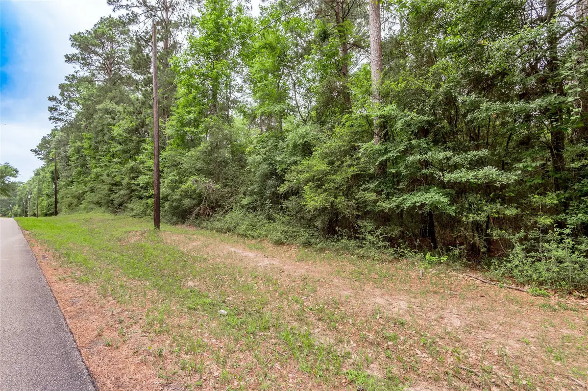 Lot 07 Oak Drive, Trinity, TX 75862 - #1