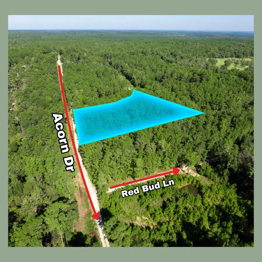 Lots 72, 73, 74 Sweetgum Lane, Oakhurst, TX 77359 - Image #2