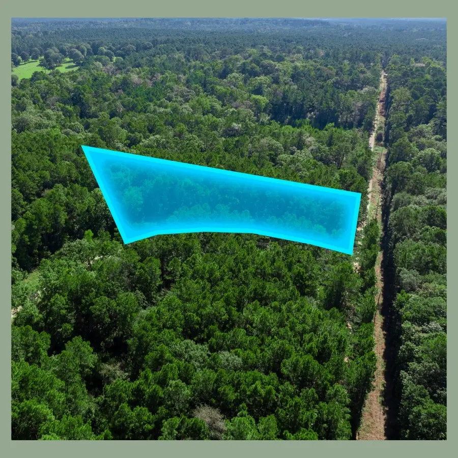 Lots 72, 73, 74 Sweetgum Lane, Oakhurst, TX 77359 - Image #3