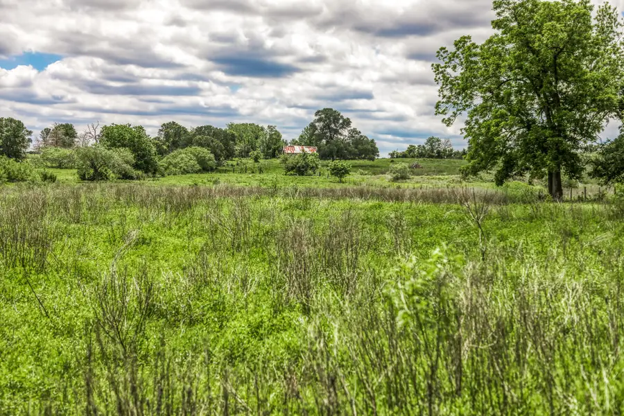5233 County Road 106, Caldwell, TX 77836 - #2