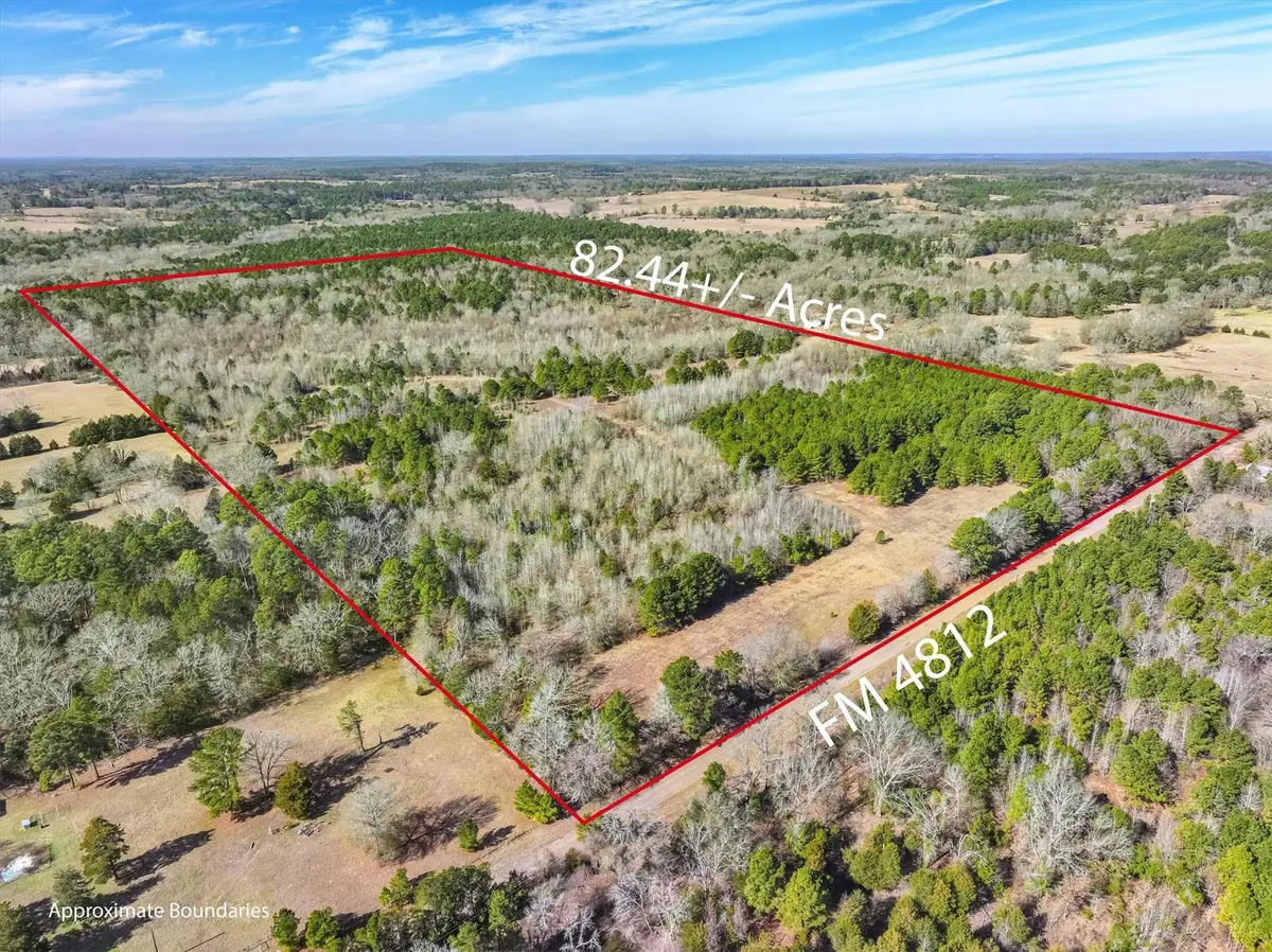tbd County Road 4812, Ben Wheeler, TX 75754 - Image #1