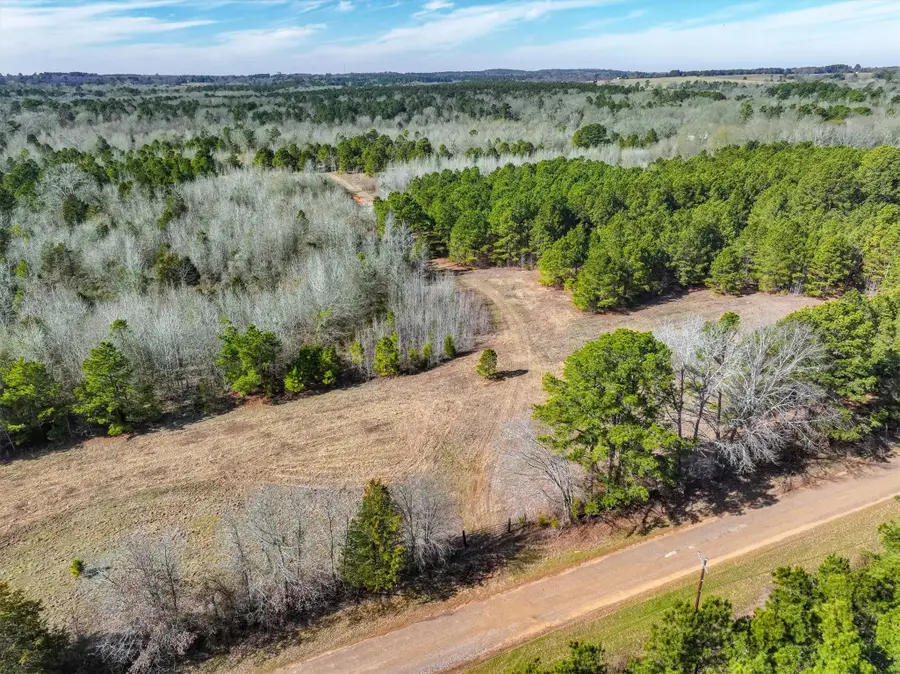 tbd County Road 4812, Ben Wheeler, TX 75754 - Image #2