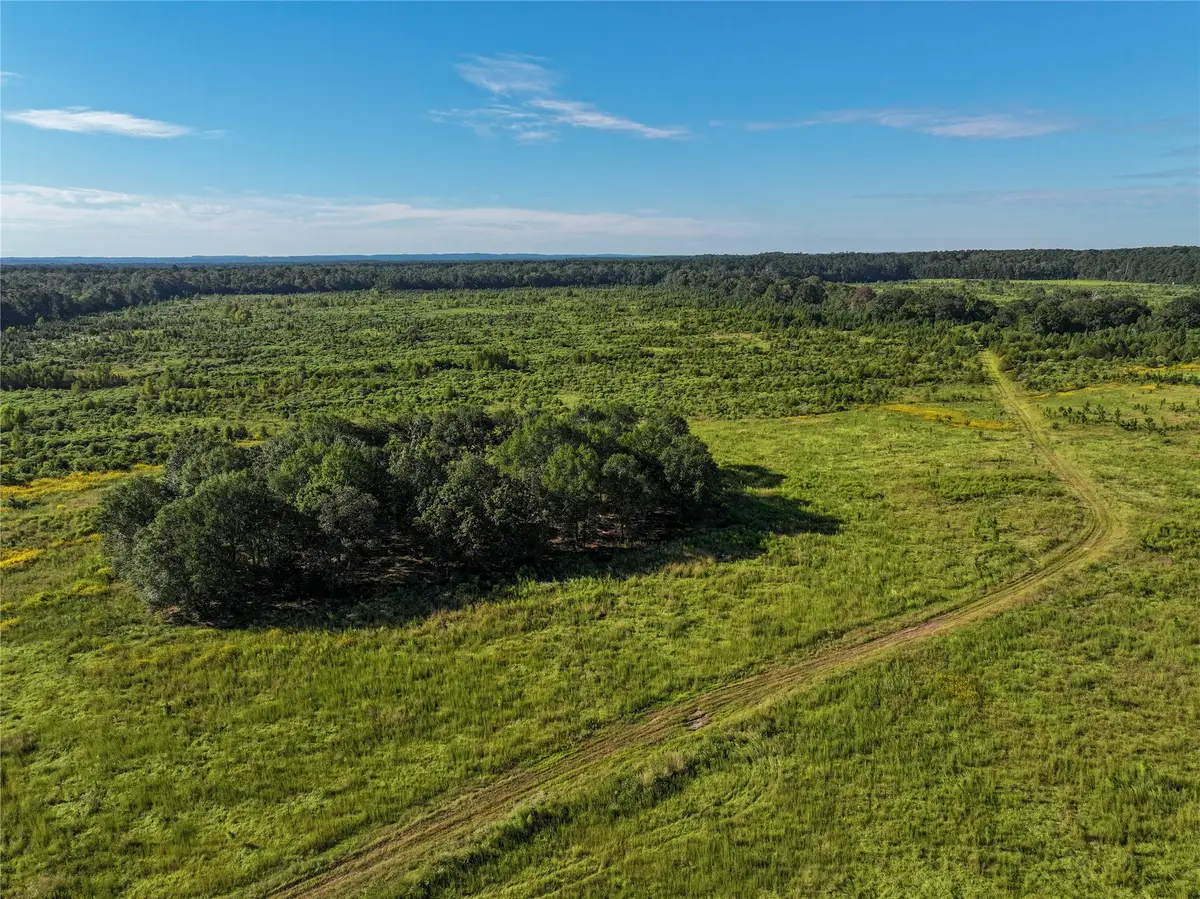 2792 Forest Hopson Road, Zavalla, TX 75980 - Image #1