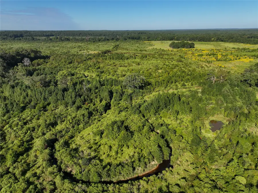 2792 Forest Hopson Road, Zavalla, TX 75980 - Image #2