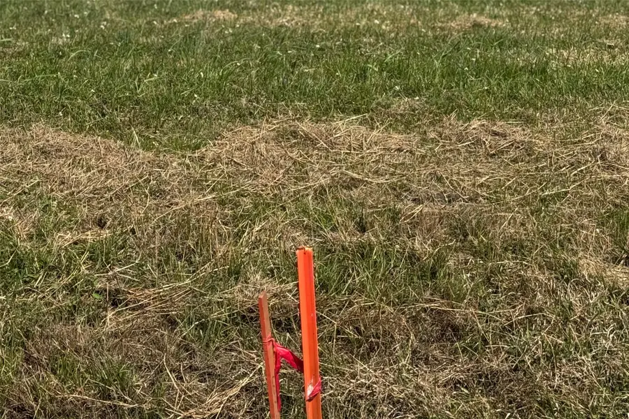 406 Sunset Trail, Angleton, TX 77515 - Image #3