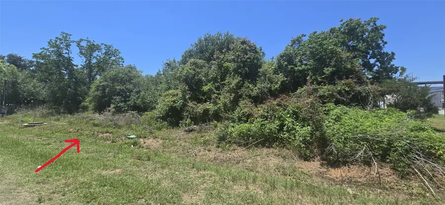 327 Marie Antoinette, Prairie View, TX 77445 - #3