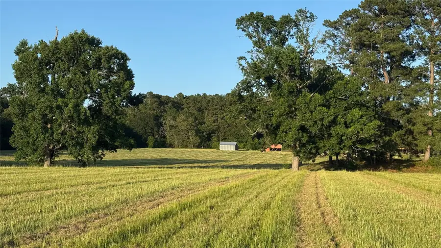 tbd 24 ac Johnson Rd, Montgomery, TX 77356 - #3