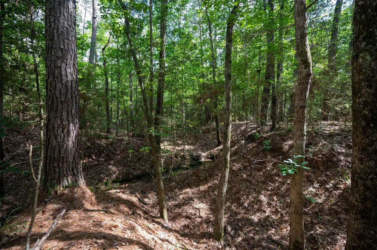 tbd United States Hwy 190 E, Woodville, TX 75979 - Image #1