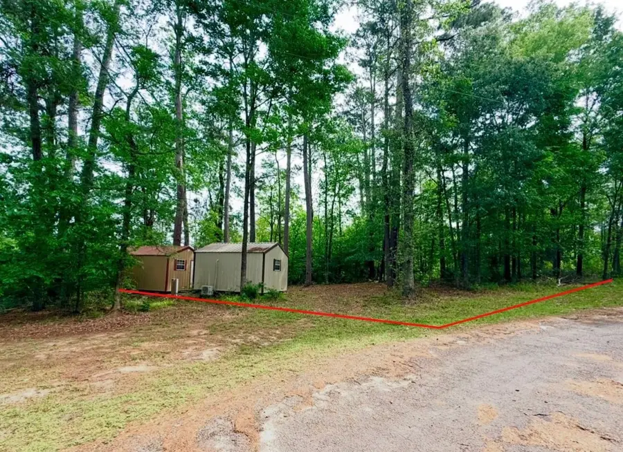 TBD Lakeshore Pt, Livingston, TX 77351 - #2