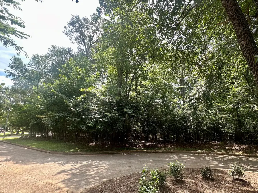 13419 Cherry Hill Circle, Montgomery, TX 77356 - #3