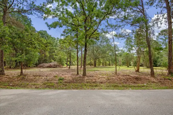 TBD Lot 4 County Road 302, Plantersville, TX 77363