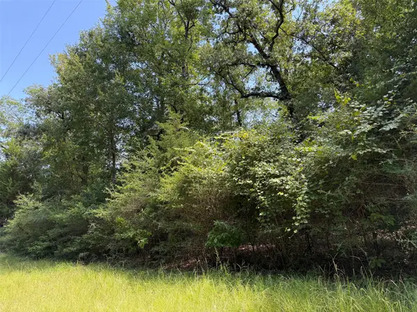 16 ac Cr 321, Jewett, TX 75846