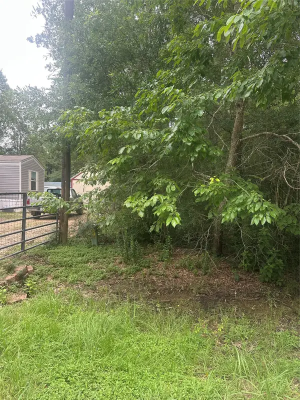 TBD Oakridge, Livingston, TX 77351