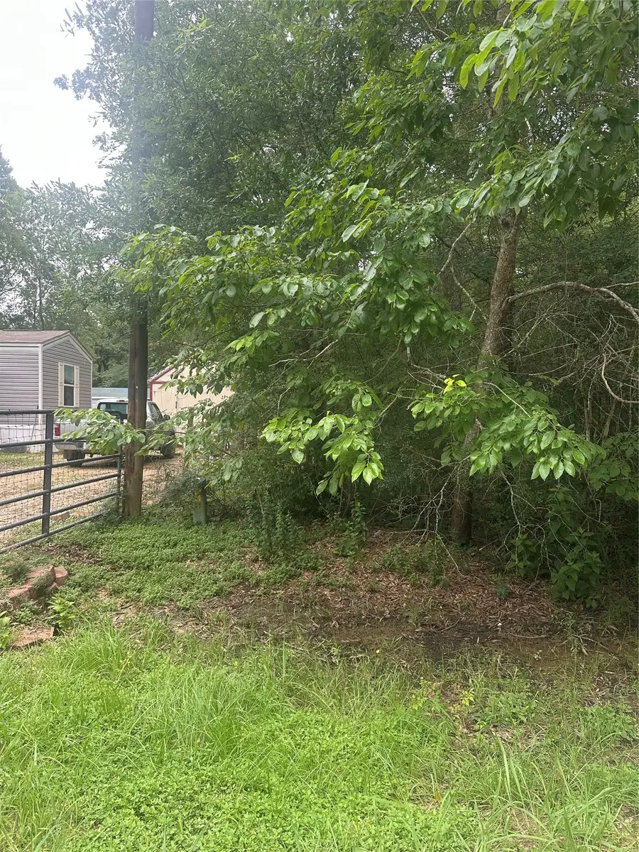 TBD Oakridge, Livingston, TX 77351 - #2