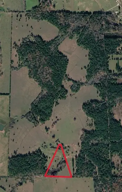 012 Alana Nell Court, Huntsville, TX 77340 - #2