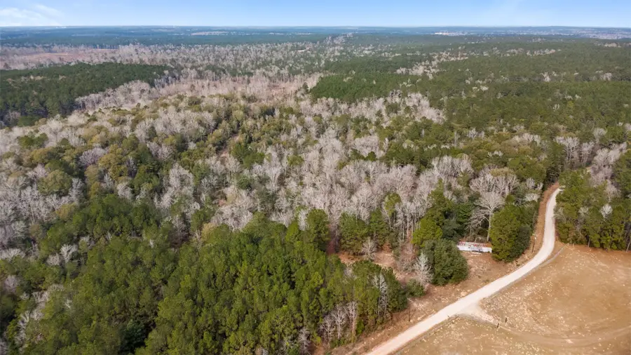 2511 County Road 4280, Woodville, TX 75979 - #3